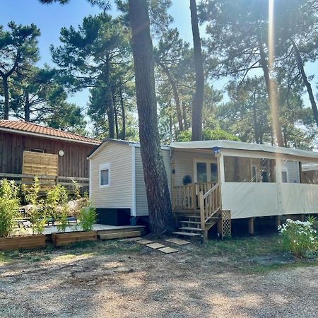 La Cabane Des Pins Lège-Cap-Ferret 외부 사진