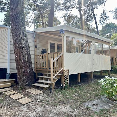 La Cabane Des Pins Lège-Cap-Ferret 외부 사진