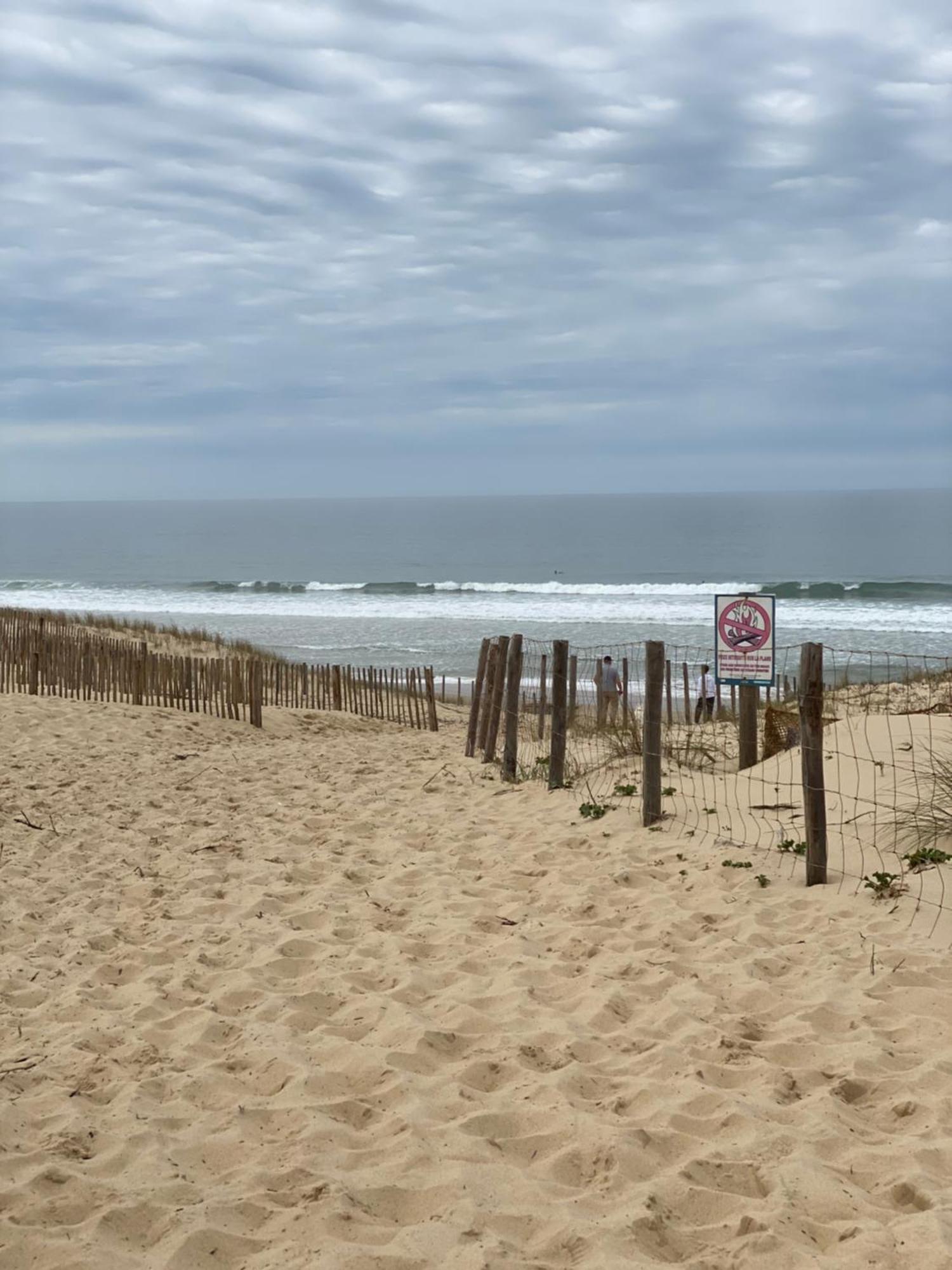 La Cabane Des Pins Lège-Cap-Ferret 외부 사진