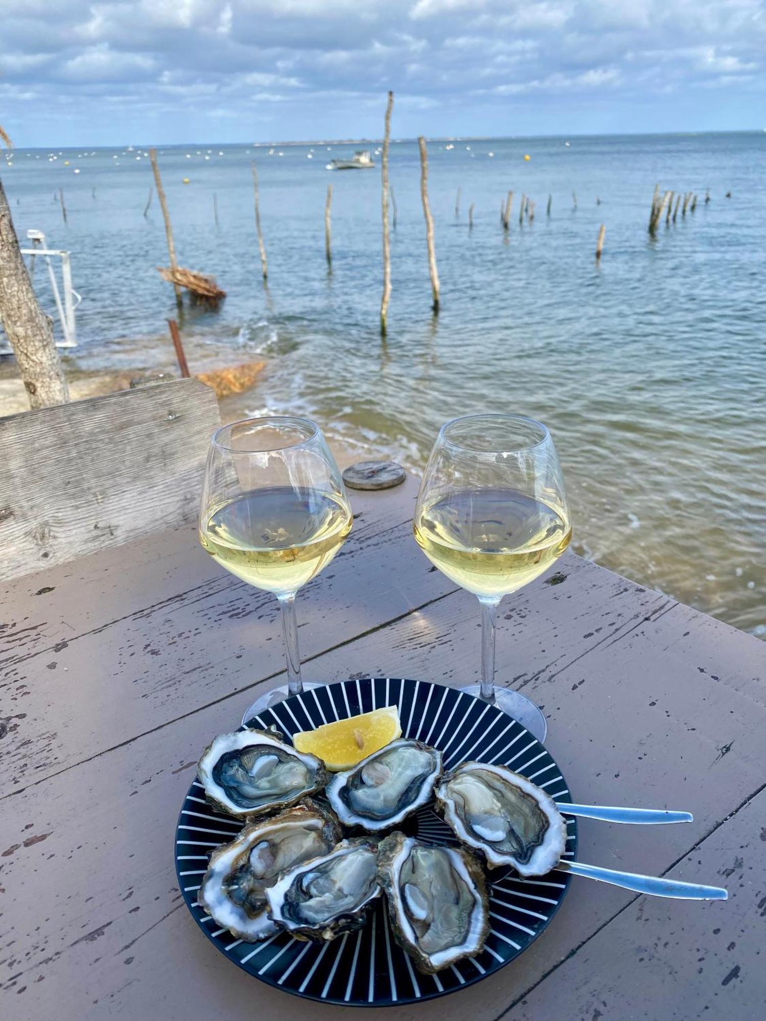 La Cabane Des Pins Lège-Cap-Ferret 외부 사진