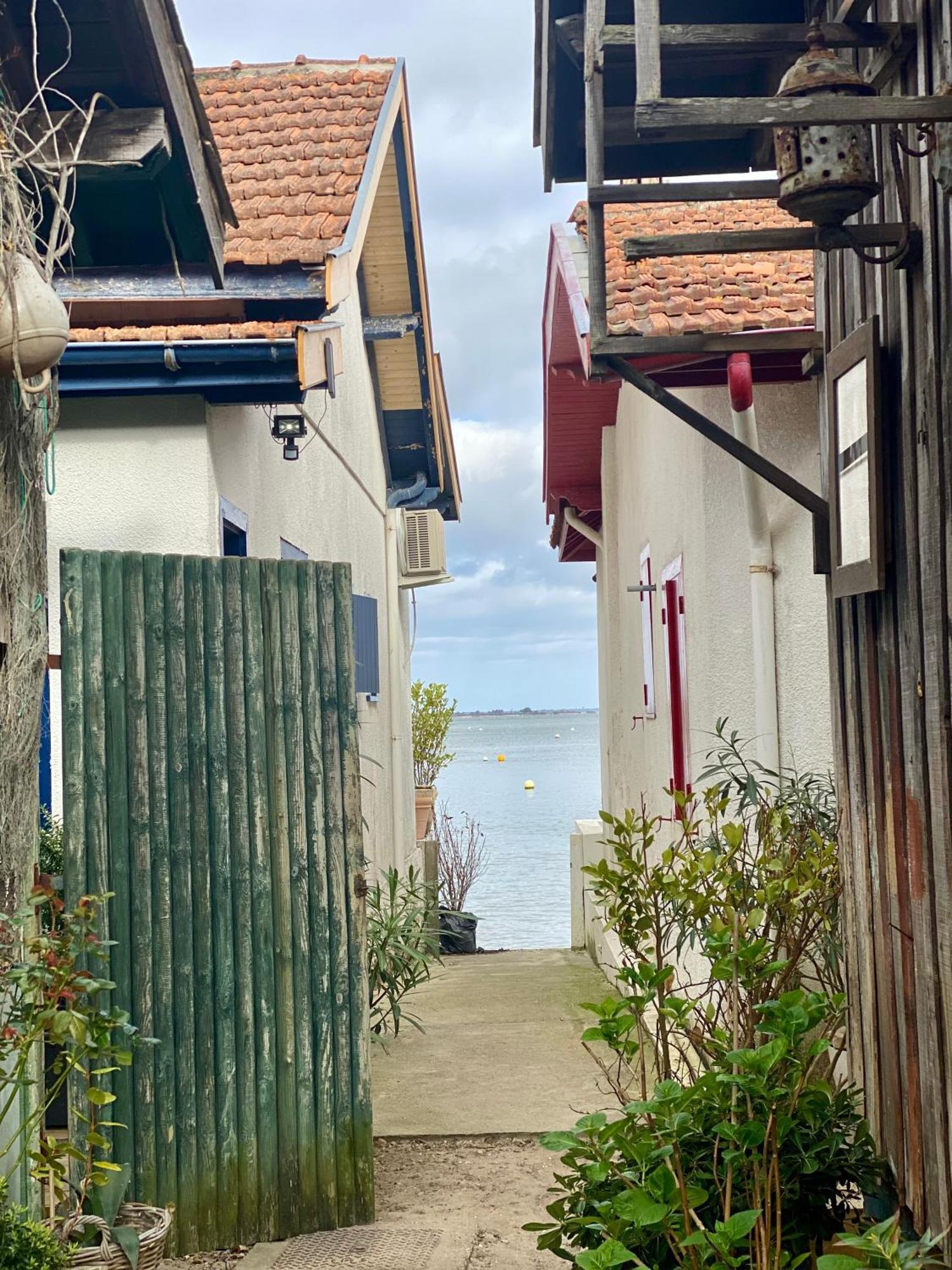 La Cabane Des Pins Lège-Cap-Ferret 외부 사진