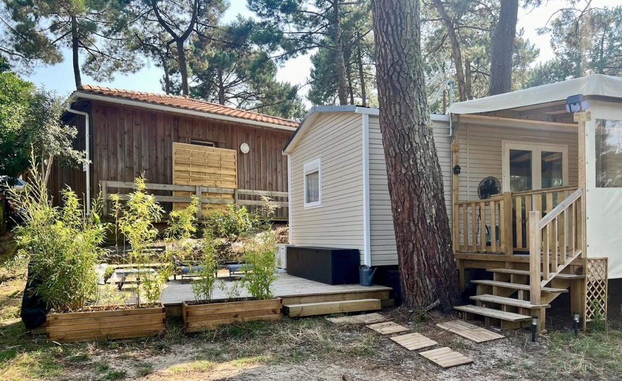 La Cabane Des Pins Lège-Cap-Ferret 외부 사진