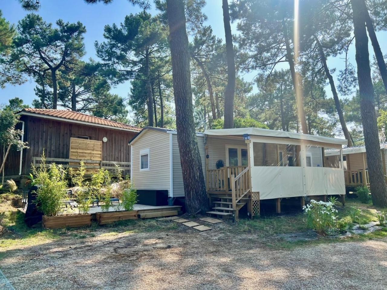 La Cabane Des Pins Lège-Cap-Ferret 외부 사진
