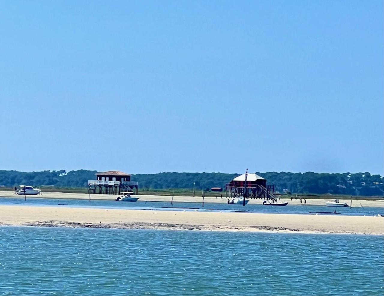 La Cabane Des Pins Lège-Cap-Ferret 외부 사진
